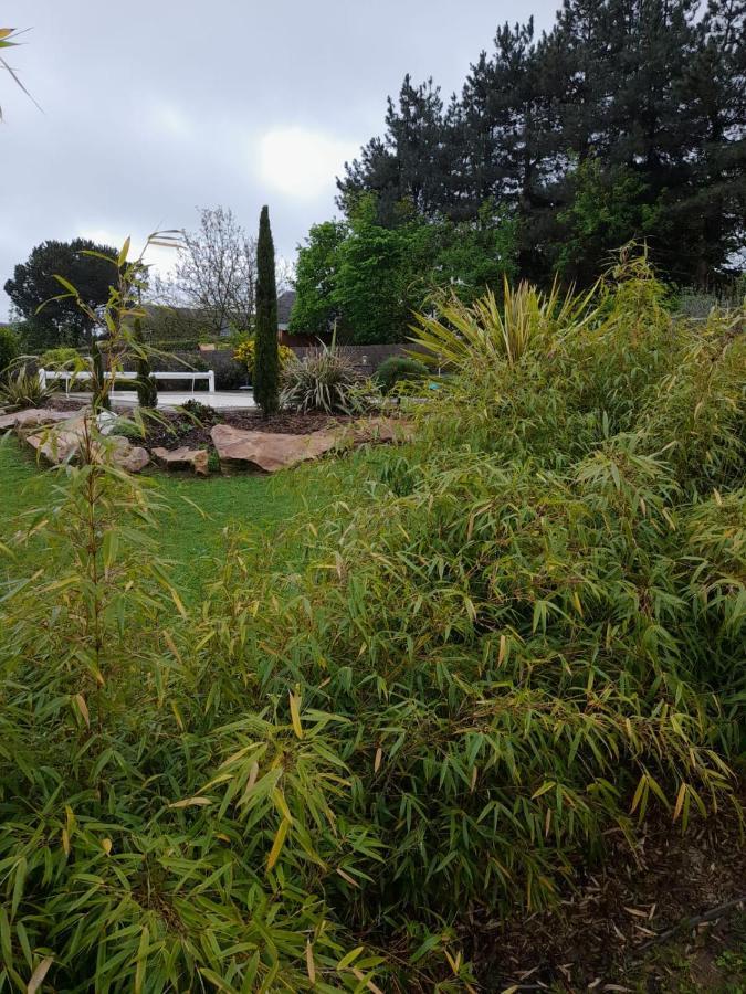 Chambre Dans Un Ecrin De Verdure Angrie Exteriér fotografie