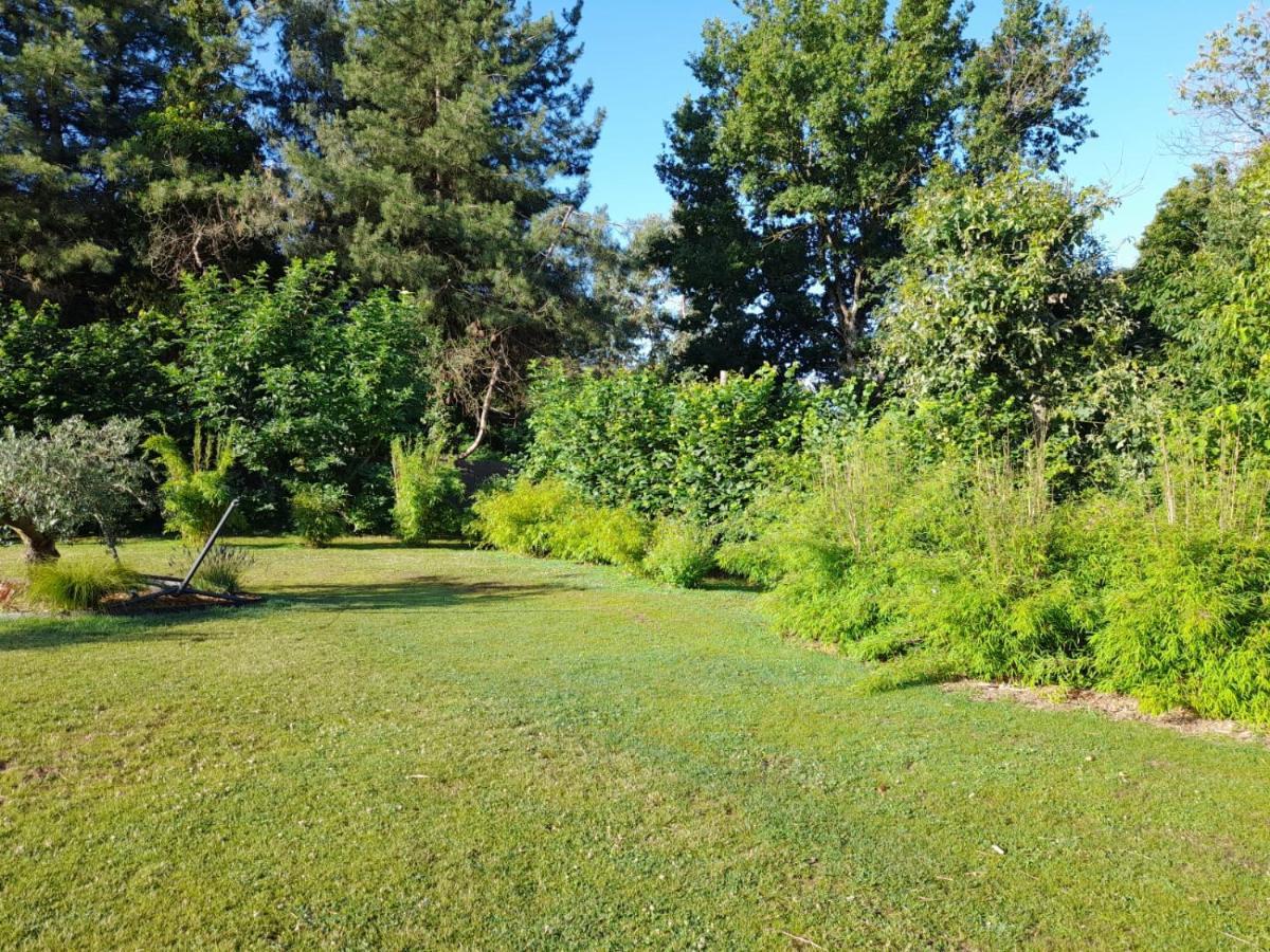 Chambre Dans Un Ecrin De Verdure Angrie Exteriér fotografie