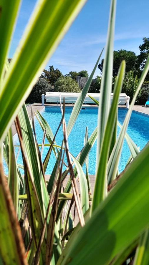Chambre Dans Un Ecrin De Verdure Angrie Exteriér fotografie