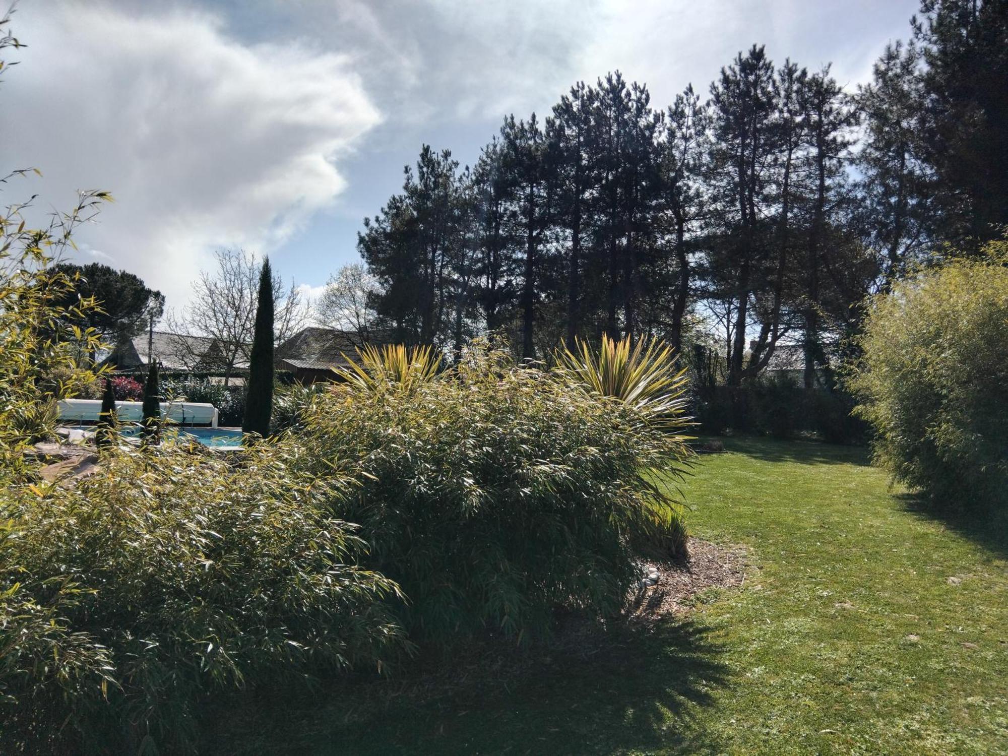 Chambre Dans Un Ecrin De Verdure Angrie Exteriér fotografie