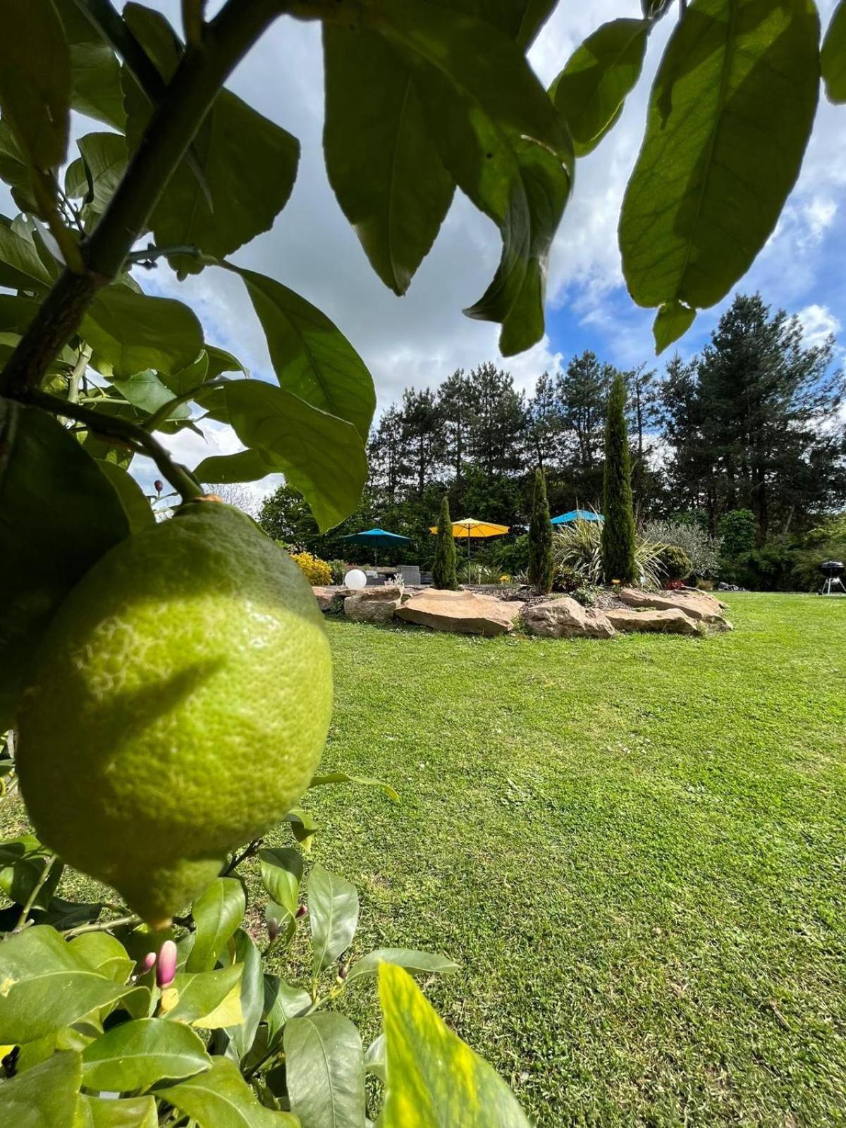 Chambre Dans Un Ecrin De Verdure Angrie Exteriér fotografie