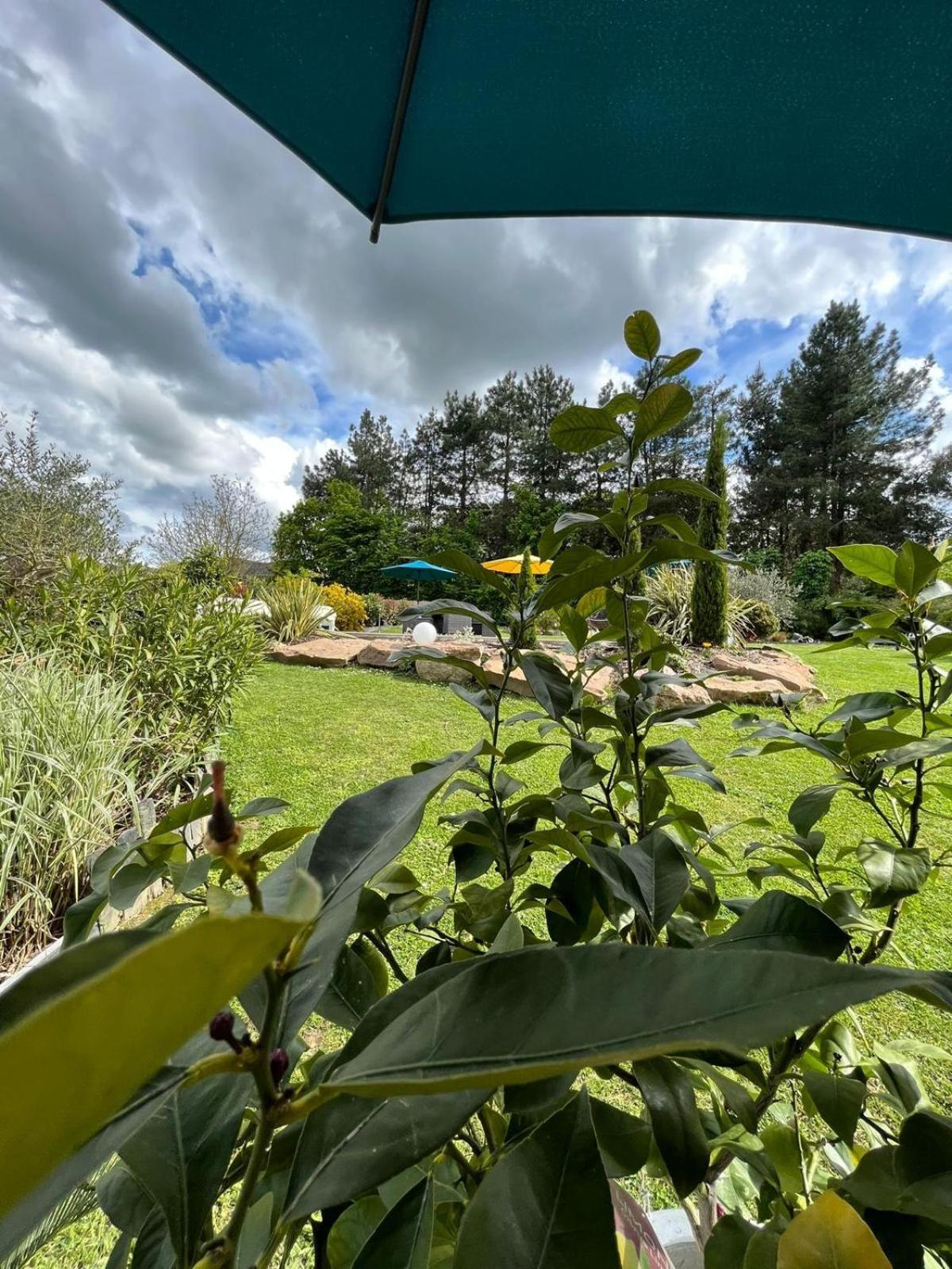 Chambre Dans Un Ecrin De Verdure Angrie Exteriér fotografie