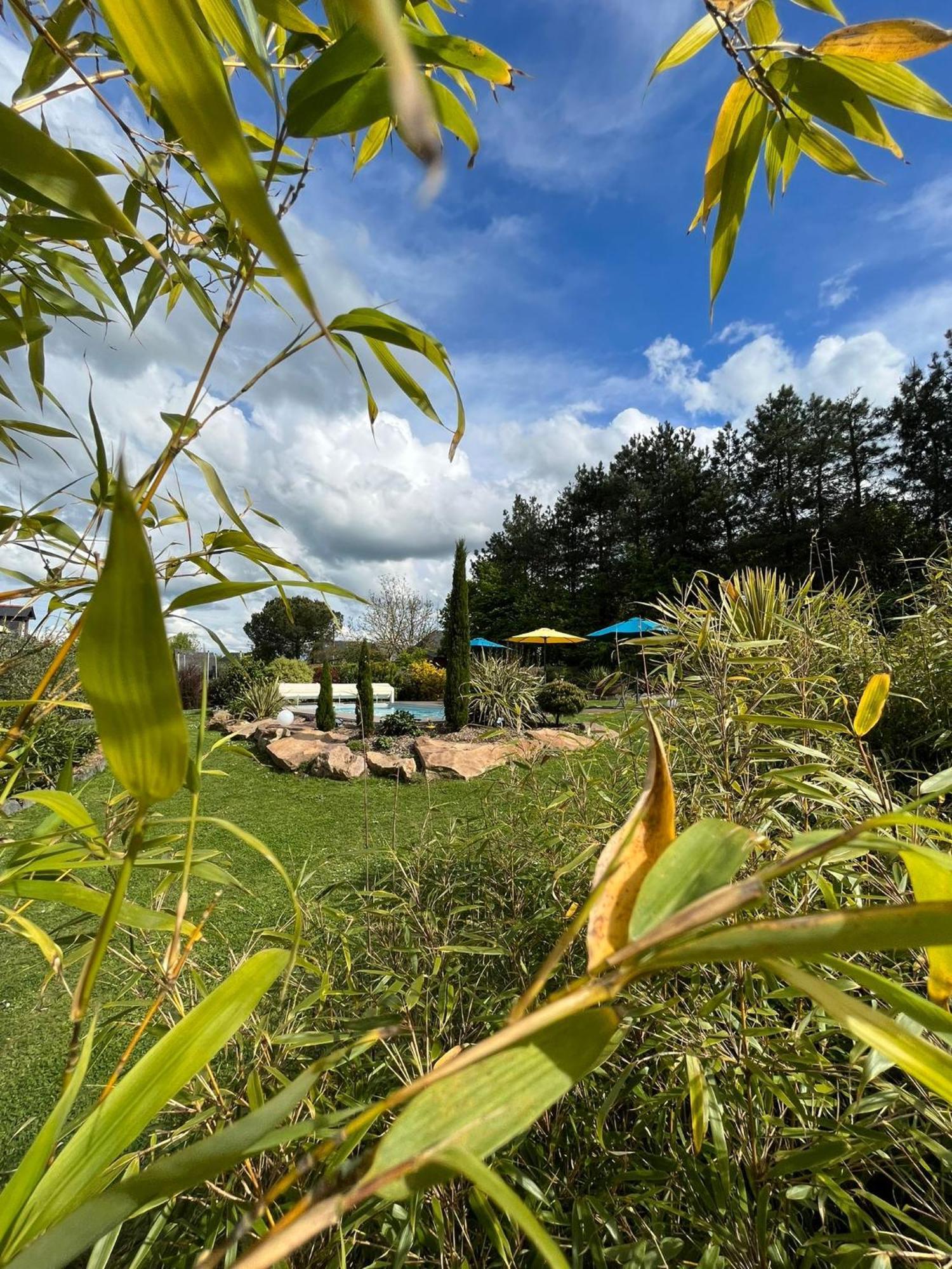 Chambre Dans Un Ecrin De Verdure Angrie Exteriér fotografie